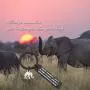 MAOFAED Elephant Gift Elephant Lover Gift Always Remember You are Stronger Braver Smarter & More Loved Than You Think Inspiration Gift for Friend MAOFAED Elephant Gift Elephant Lover Gift Always Remember You are Stronger Braver Smarter & More Loved Than You Think Inspiration Gift for Friend