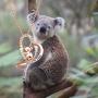 BLEOUK Cute Koala Heart Pendant Necklace Koala Gift Koala Lover Gift You’re My Koala Necklace Koala Gift for Girlfriend Wife