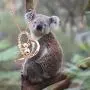BLEOUK Cute Koala Heart Pendant Necklace Koala Gift Koala Lover Gift You’re My Koala Necklace Koala Gift for Girlfriend Wife BLEOUK Cute Koala Heart Pendant Necklace Koala Gift Koala Lover Gift You’re My Koala Necklace Koala Gift for Girlfriend Wife
