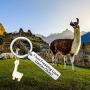 ENSIANTH I Just Freaking Love Llamas Okay Keychain Llamas Lover Gifts Funny Alpaca Gifts for Friend Animal Positive Jewelry