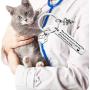 SEIRAA Veterinarian Gifts Veterinary Medicine Graduation Gift Medical Caduceus Charm Keychain with Paw Print Vet Tech Jewelry