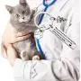 SEIRAA Veterinarian Gifts Veterinary Medicine Graduation Gift Medical Caduceus Charm Keychain with Paw Print Vet Tech Jewelry