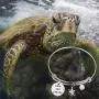 CYTING Turtle Bracelet Slow and Steady Sea Turtle Expandable Wire Bangle Bracelet Beach Jewelry for Turtle Lover Gift CYTING Turtle Bracelet Slow and Steady Sea Turtle Expandable Wire Bangle Bracelet Beach Jewelry for Turtle Lover Gift