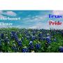 Bluebonnet Texas State Flower Bracelet - Texas Jewelry Gift For Women - Garden Botanical Flower Bead Bracelet 1 pc