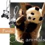 925 Sterling Silver Cute Animal Panda Cat Dangle Earrings Charm Jewelry Birthday Gift for Women Girls Teens