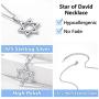 Silvora Sterling Silver Star of David Pendant Necklace with 22 in Rolo Chain Megan Cross Jewelry for Women