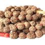 AwakenYourKundalinis Rudraksha Rudraksh japa mala prayer beads necklace - Big 12 mm beads 5 mukhi ( 5 face ) - Energized hand knotted mala w/ Velvet Pouch