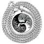 ZONICTA Dragon Yin Yang Necklace for Men - Jewelry Stainless Steel Amulet Pendant Necklace with Gift Bag