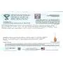 Ian and Valeri Co. Certificate Genuine Amber Sterling Silver Pear Shape Pendant Chain 18'' Necklace