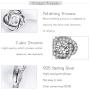 Lovans Jewelry Set 925 Silver Forever Love Crystal Cubic Zirconia Stud Earrings Ring Necklace Jewelry Set Bridal Gifts for Women Wedding