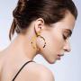 Lux Accessories Resin Acrylic Light Brown Leopard Animal Print Dangle Drop Earrings