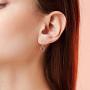 Cardinal Earrings Sterling Silver Red Bird Memorial Gift for Women Cardinal Jewelry for Girls Loved Ones