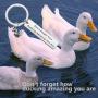 MAOFAED Duck Gift Inspirational Gift Duck Lover Gift Don’t Forget How Ducking Amazing You are Birthday Gift