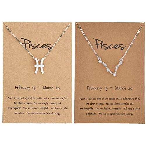 HUASAI 2Pcs Silver Zodiac Necklace for Women 12 Constellation Sign Necklace CZ Astrology Zodiac Star Necklace Birthday Gifts with Message Card