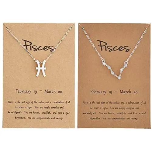 HUASAI 2Pcs Silver Zodiac Necklace for Women 12 Constellation Sign Necklace CZ Astrology Zodiac Star Necklace Birthday Gifts with Message Card HUASAI 2Pcs Silver Zodiac Necklace for Women 12 Constellation Sign Necklace CZ Astrology Zodiac Star Necklace Birthday Gifts with Message Card