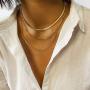 Denifery Gold/Silver Plated Flat Snake Chain Adjustable Punk Layered Necklace Snake Bone Choker Necklaces Minimalist Necklace Chain Jewelry for Women and Girls (Gold A)