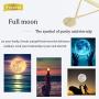 Fiusem Gold Layered Necklaces for Women, Dainty 14K Gold Plated Choker Necklaces and Chain Necklaces for Women