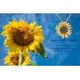 luomart Flower Edelweiss Pendant Necklace&Earrings,Sunflower Daisy Necklaces Jewelry Gift for Women Girls