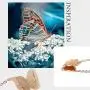 BQfife Butterfly Necklace for Women Originality Dainty Pendant Necklace Earrings Jewelry Set Gifts for Girls