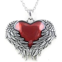 Controse Womens Silver-Toned Stainless Steel - Guarded Heart Necklace with Pendant 28''