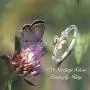 Butterfly Rings for Women Sterling Silver Thin Band Love Promise CZ Ring Butterfly Jewelry Anniversary Wedding Birthday Gift for Her Teen Girls Lover Butterfly Rings for Women Sterling Silver Thin Band Love Promise CZ Ring Butterfly Jewelry Anniversary Wedding Birthday Gift for Her Teen Girls Lover