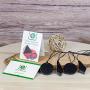 Shungite Pendant Necklace Set, Gift Set of Trendy Shungite Jewelry | Authentic Karelian Shungite Crystals