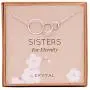 EFYTAL Sister Gifts from Sister, 925 Sterling Silver Three Circle Necklace, Birthday Jewelry Gift Necklaces for 3 Sisters For Eternity EFYTAL Sister Gifts from Sister, 925 Sterling Silver Three Circle Necklace, Birthday Jewelry Gift Necklaces for 3 Sisters For Eternity