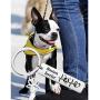 FUSTMW Dog Owner Keychain Boston Terriers,Boxer,Dachshund,Jewelry Golden Receiver,Pitbull Dog Lover Gifts Pet Rescue Gift