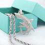 TENGLAI Hip Hop Shark Necklace, Long Chain Punk Rock Choker, Crystal Fish Jewelry, Premium Unisex Cubic Zirconia Shark Pendant with 24'' Rope/Box Chain