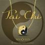 NINAQUEEN Tai Chi Valentines Day Charms Gifts 925 Sterling Silver Gold Plated Black Enamel Bead Charms with 5A Cubic Zirconia Chinese Elements Charms for Bracelets Necklaces