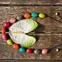 Ruby Olive Womens Colorful Resin Beaded Pod Necklace with Wood Bead