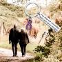 CYTING Alzheimer Awareness Keychain You May not Remember but i Will Never Forget Purple Ribbon Keychain Mental Health Awareness Dementia Jewelry