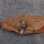 Healing Crystal Stone Moon Choker Necklace Witch Jewelry for Women