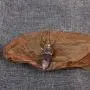 Healing Crystal Stone Moon Choker Necklace Witch Jewelry for Women Healing Crystal Stone Moon Choker Necklace Witch Jewelry for Women