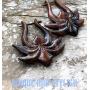 UMBRELLALABORATORY Natural Wooden Tribal Organic Boho Earrings Wood Hawaiian Jewelry for Women Men