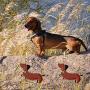 BAUNA Dachshund Dangle Earrings Dog Mom Doxie Gifts Ideas Cute Animal Jewelry for Women Girls Gift