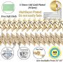 TOPGRILLZ 20mm 6 Times 14K Gold Plated Iced Out Spiked Link Chain for Men and Women Eboy Hip Hop Jewelry Collection