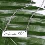 ecobuty Aunt Necklace Aunt Gift Auntie Necklace Birthday Gift for Auntie from Nephew Niece Jewelry