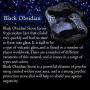 JOVIVI Natural Black Obsidian Fox Necklace Healing Crystal Gemstone Necklaces Pendant Protection Amulet Charm