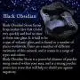 JOVIVI Natural Black Obsidian Fox Necklace Healing Crystal Gemstone Necklaces Pendant Protection Amulet Charm