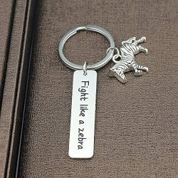 Ribukat Inspirational Gifts Encouragement Awareness Anti-Cancer Gift Cancer Keychain Fight Like A Zebra Keyring
