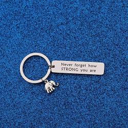 WUSUANED Inspirational Gift Never Forget How Strong You are Elephant Keychain Elephant Lover Jewelry Lucky Elephant Gift
