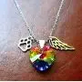 DJwindfy Rainbow Bridge Paw Print and Angel Wing Stainless Steel Necklace with Colorful Crystal,Pet Loss Memorial Gift in Memeroy of Pet