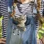 SUNSH 6Pcs Combo Cat Cute Badges Novelty Brooches for Women Teen Girls Child Kids Cartoon Collections Pins Set Jewelry Clothes Backpacks Bags Decoration Family Friendship Gift for Animal Lovers
