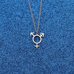 WUSUANED Transgender Symbol Necklace Transgender Pride Jewelry Male and Female Symbol Necklace Gift For Transgender