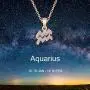 Zodiac Sign Necklace CZ Horoscope Zodiac 12 Constellation Pendant Necklace Birthday Gift for Women Astrology Jewelry Zodiac Sign Necklace CZ Horoscope Zodiac 12 Constellation Pendant Necklace Birthday Gift for Women Astrology Jewelry