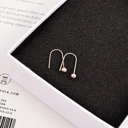 Korean Song Hye Kyo earrings earrings wild female models 18K rose gold-plated steel ear ear hook ear jewelry