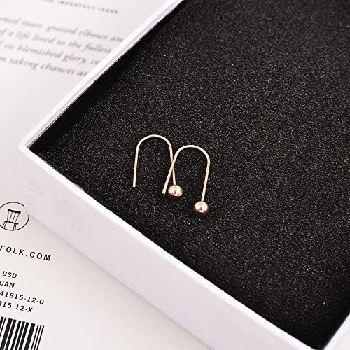 Korean Song Hye Kyo earrings earrings wild female models 18K rose gold-plated steel ear ear hook ear jewelry