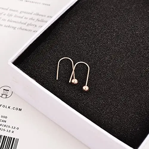 Korean Song Hye Kyo earrings earrings wild female models 18K rose gold-plated steel ear ear hook ear jewelry