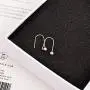 Korean Song Hye Kyo earrings earrings wild female models 18K rose gold-plated steel ear ear hook ear jewelry